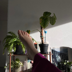 French~feet avatar