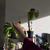 French~feet avatar