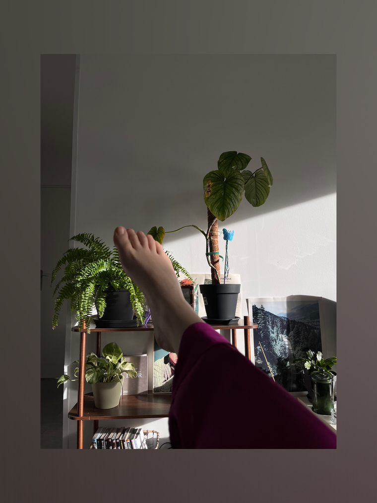 French~feet cover image