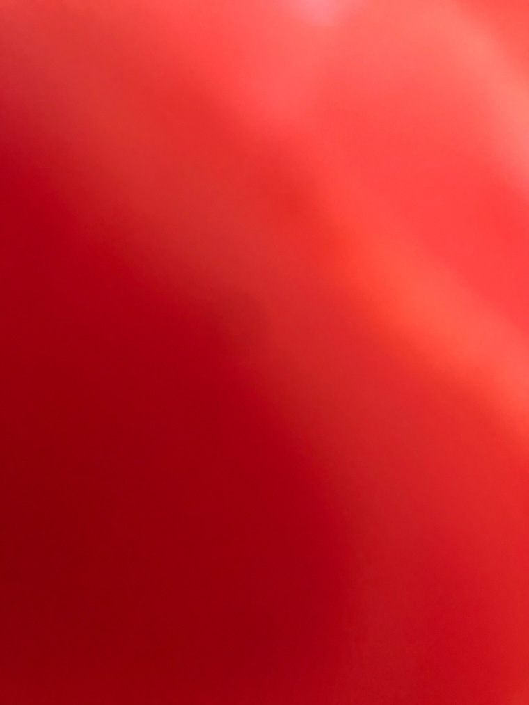 molicious banner image
