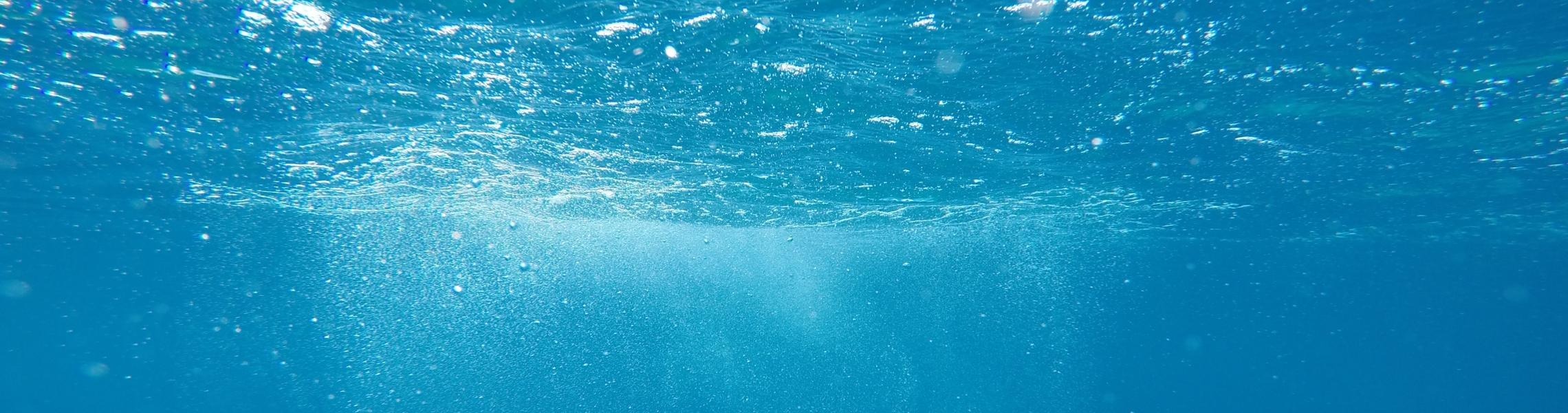 the one in feet banner image