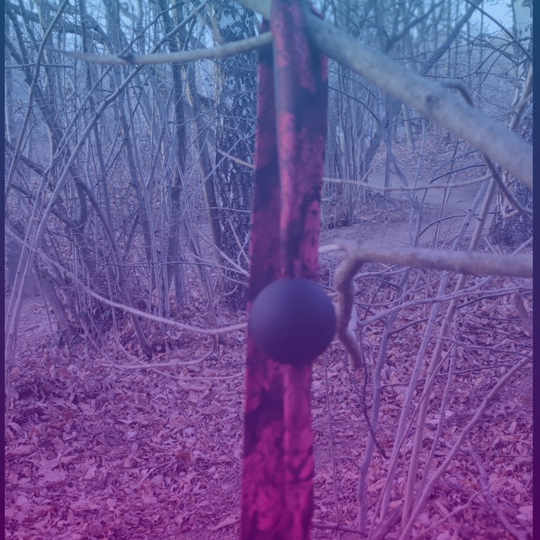 Berry Sweet cover image