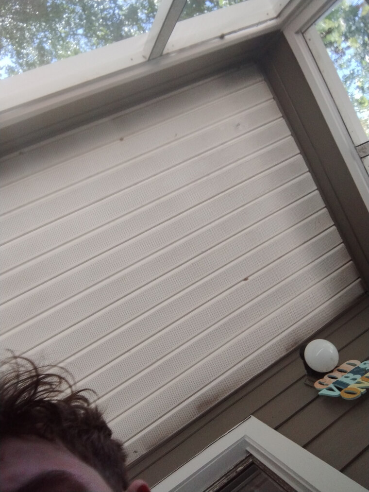 Tristin Singer banner image