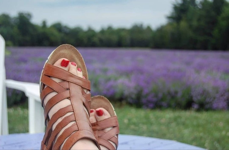 BellaFeet cover image