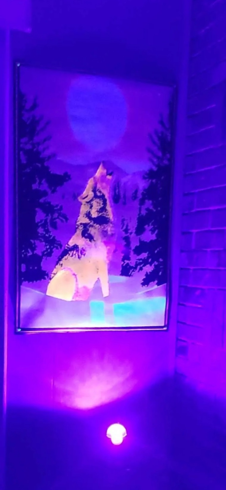 Lex banner image
