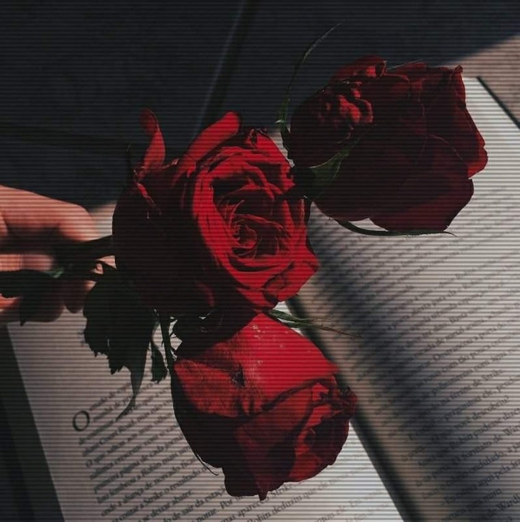 vanessaxx cover image