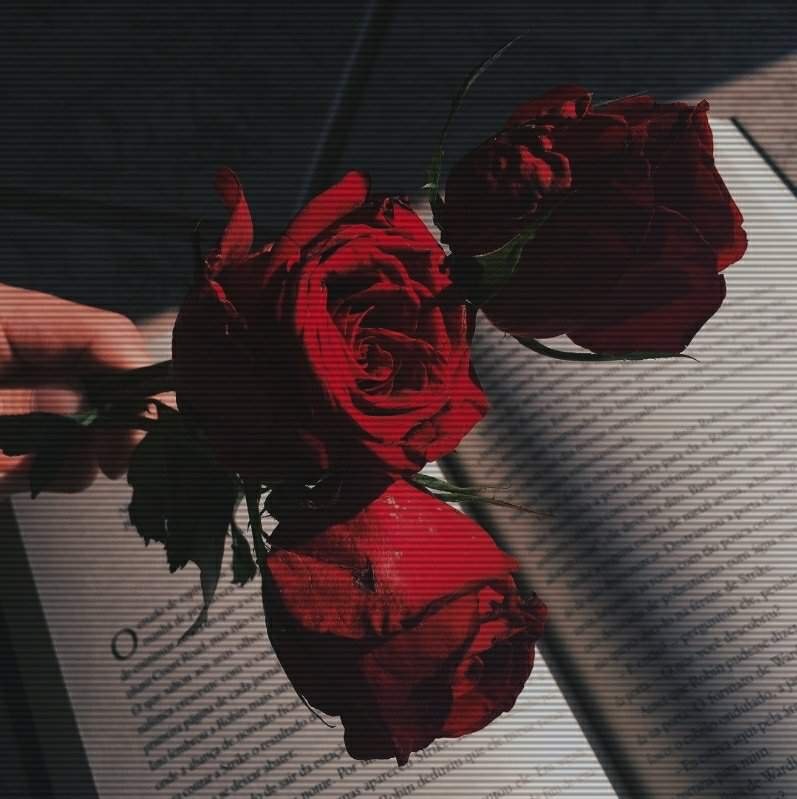 vanessaxx banner image