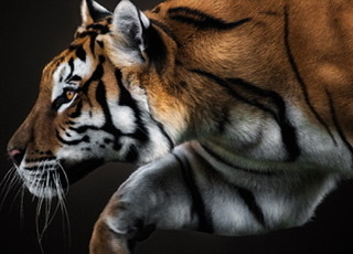 u23124655 cover image