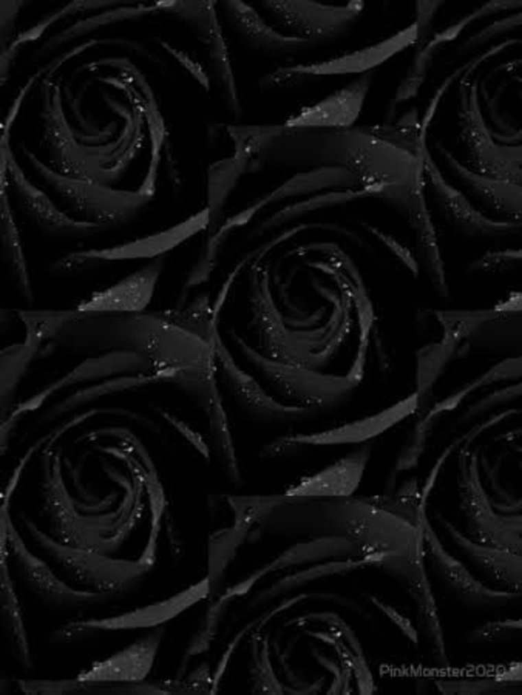 Sexy Latina banner image
