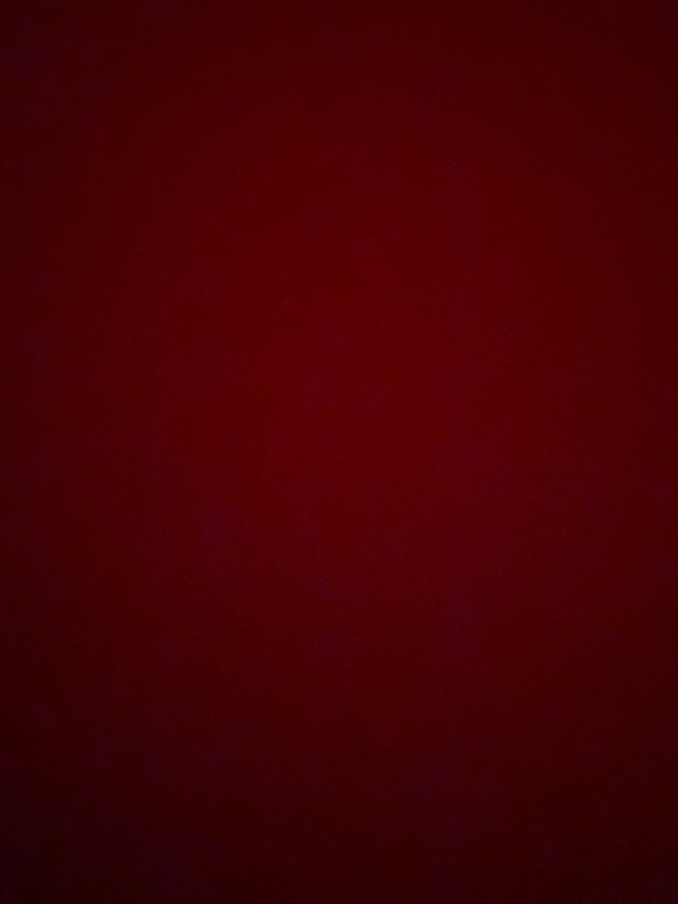 BellaOF_xo banner image