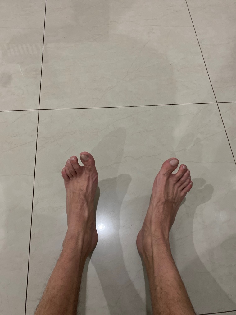 José cover image