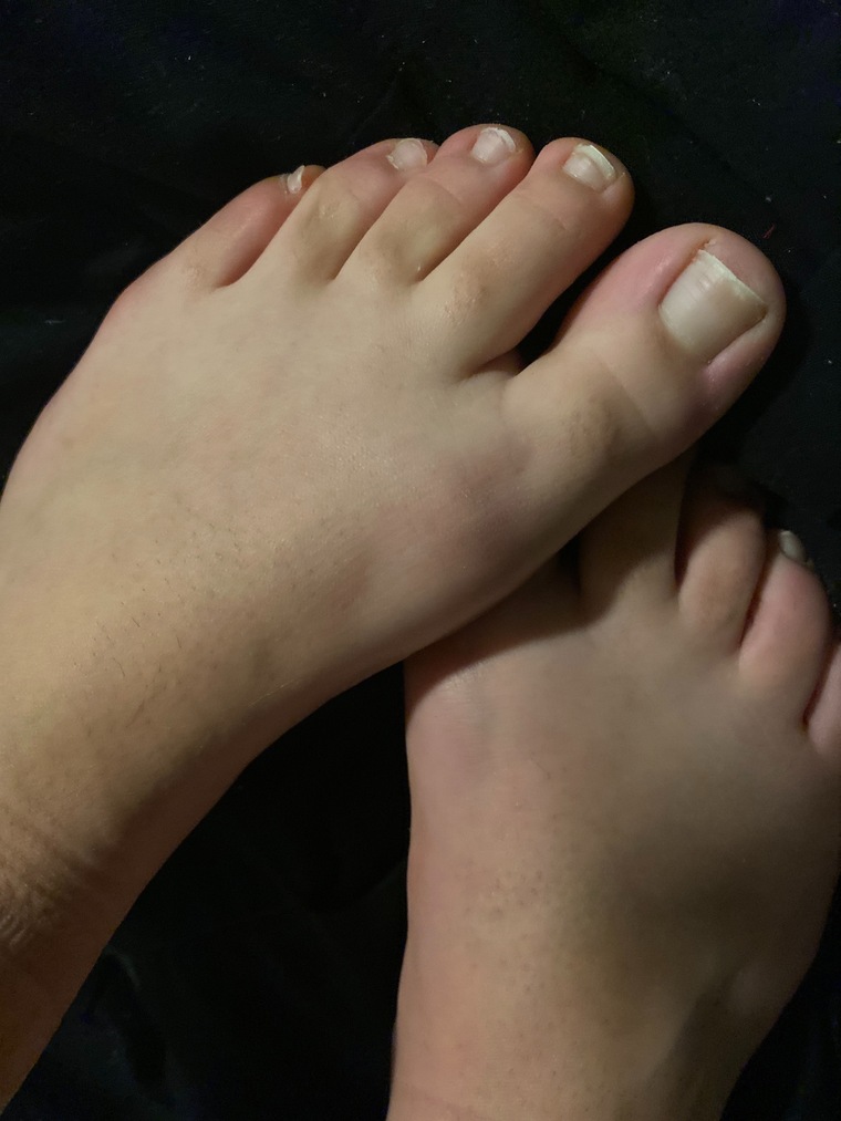 Cherry feet cover image