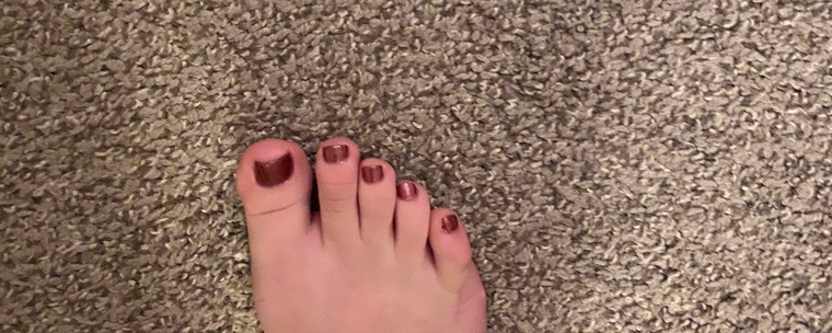 This little piggy cover image