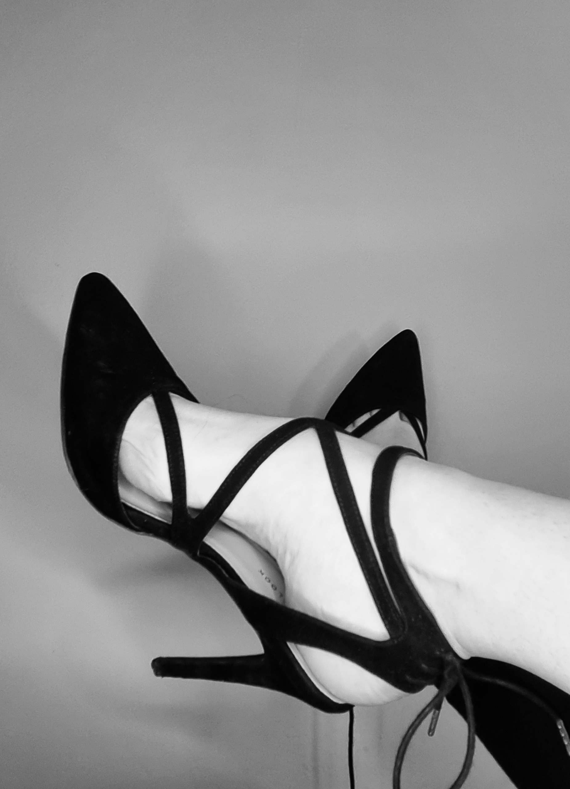 Harley feet banner image