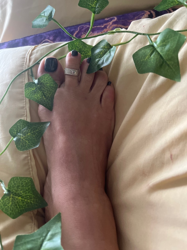 Carebear 79 cover image