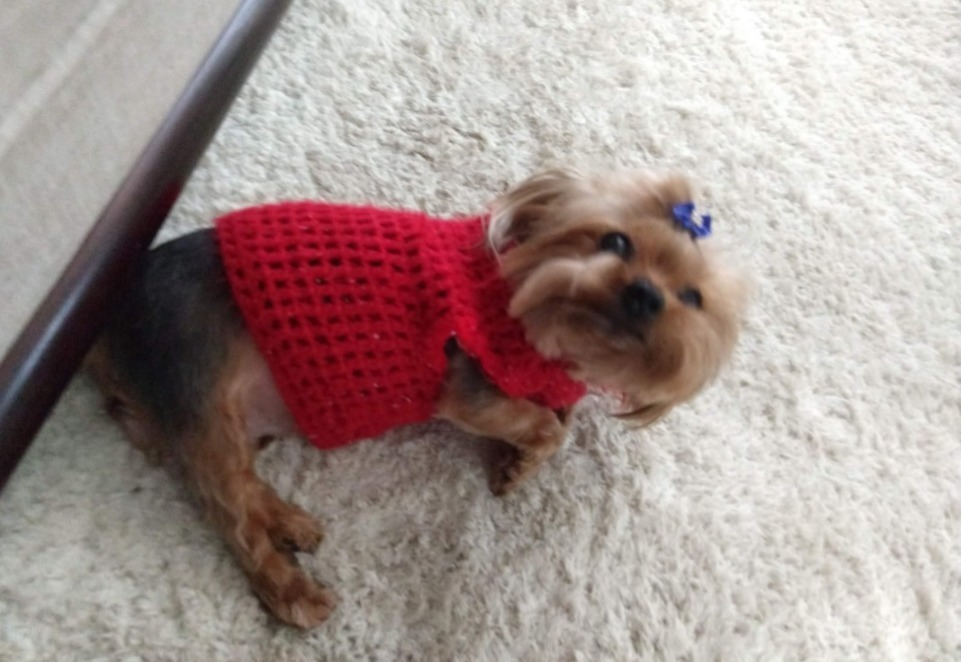 4Kute banner image