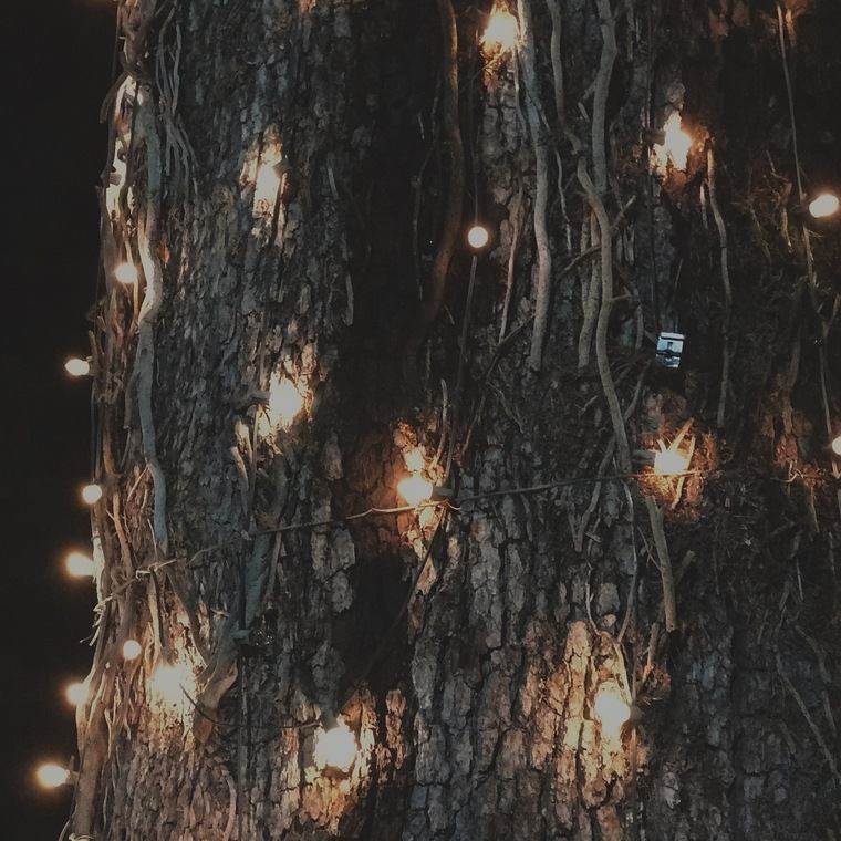marrrrieeee cover image