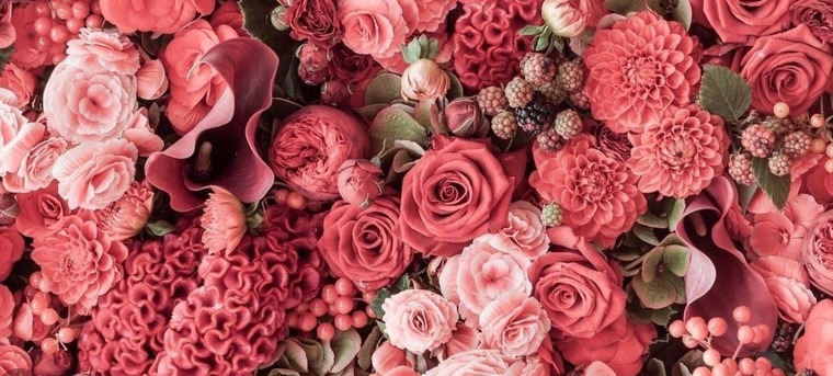 SecretTwinsies banner image