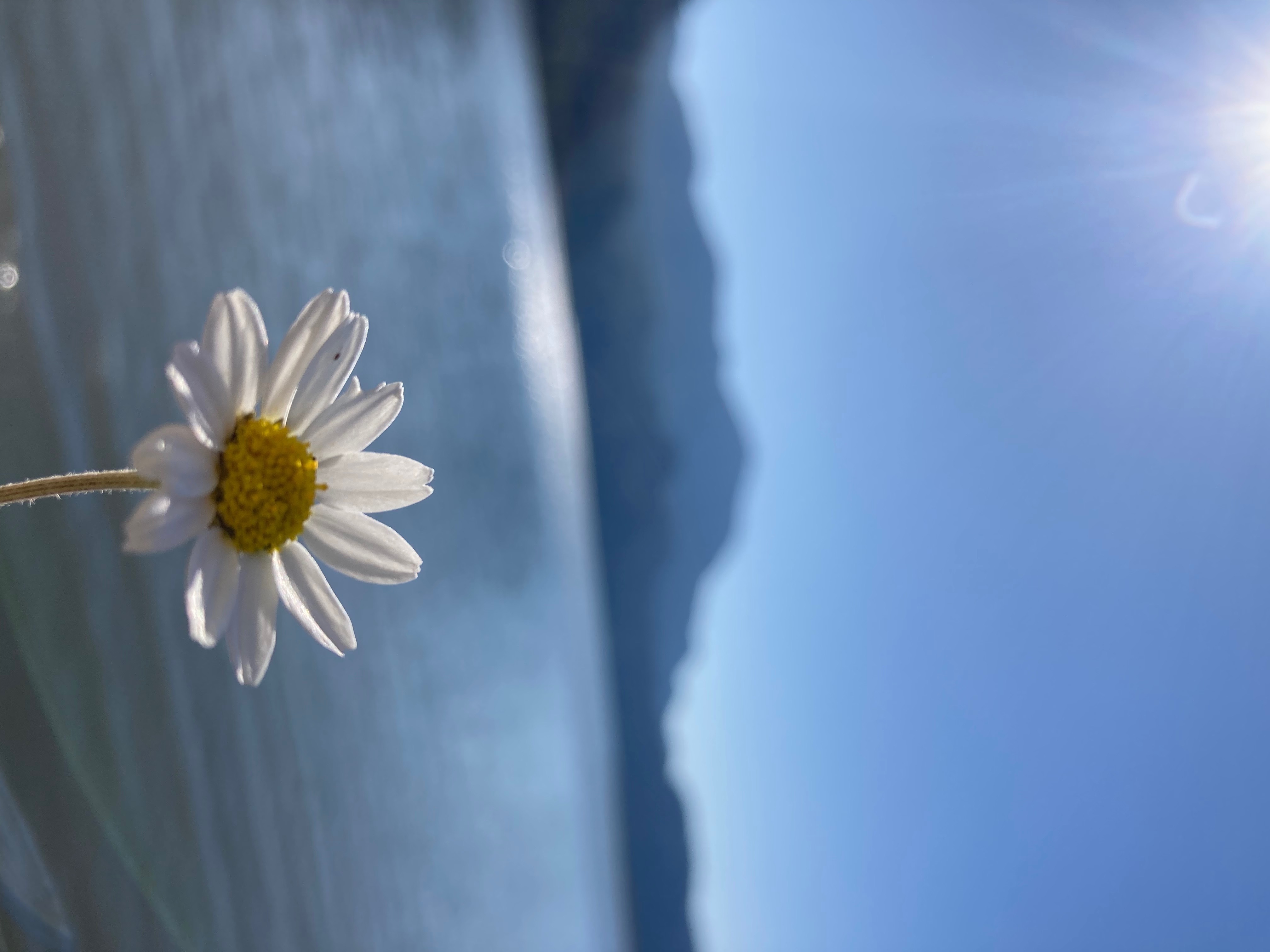 Buğra Uçar banner image