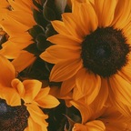 Sunflower avatar