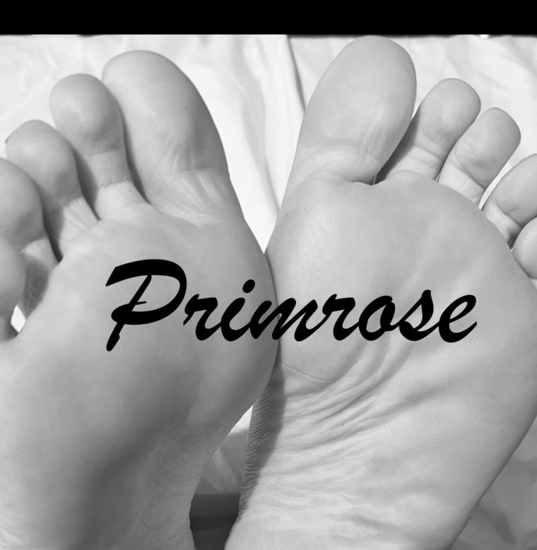 Primrose cover image