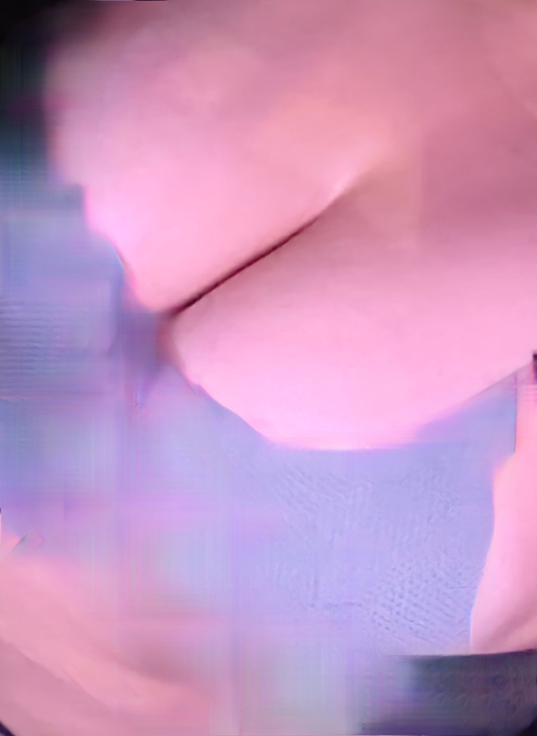 Kiki cover image