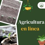 Agricultura en Linea avatar