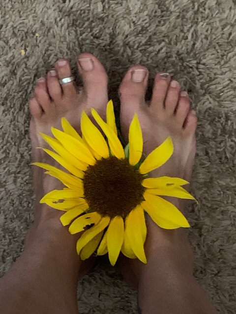 FlowerPower cover image