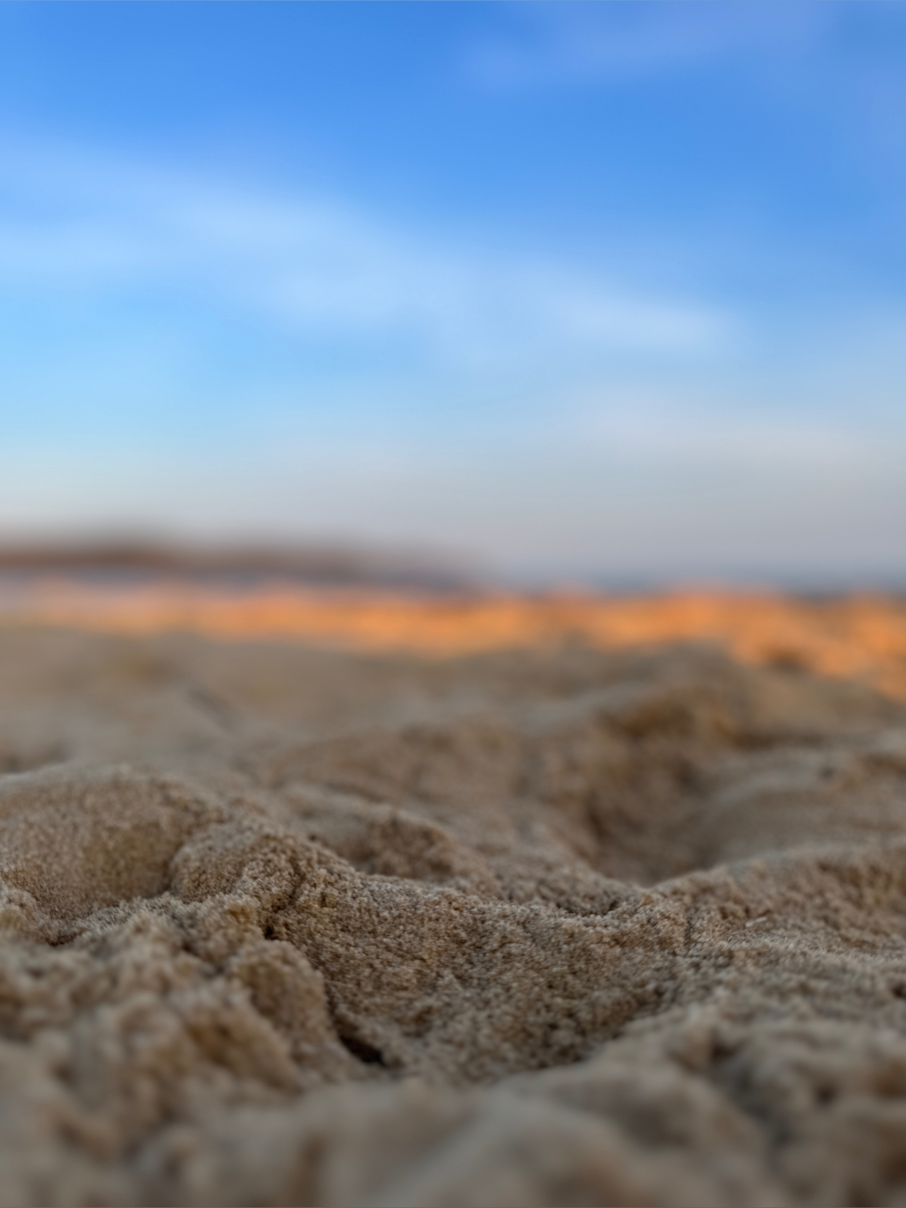 Exotic Toes banner image