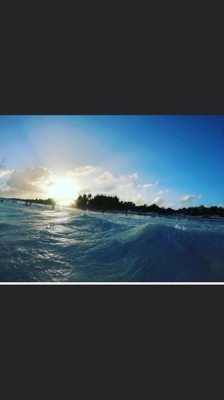 savanah T banner image