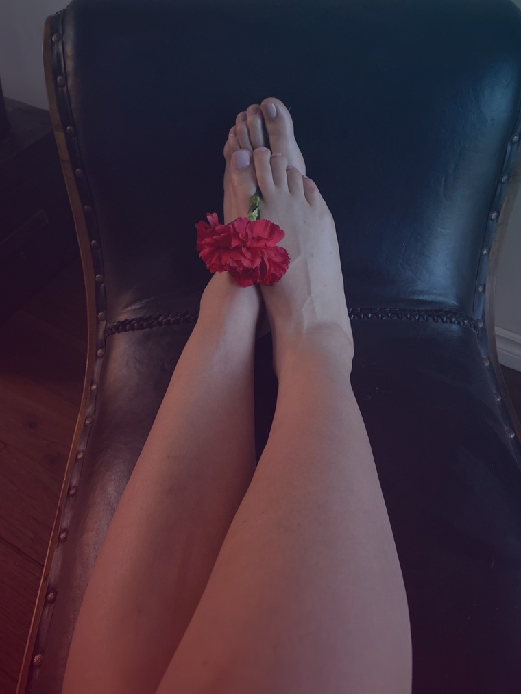 Renay cover image