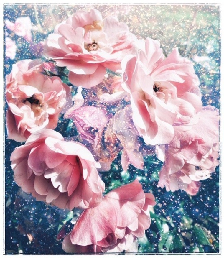 Amelia Orvokki cover image