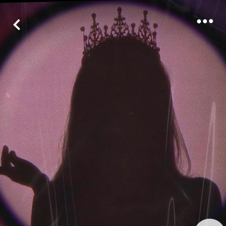 Princess banner image