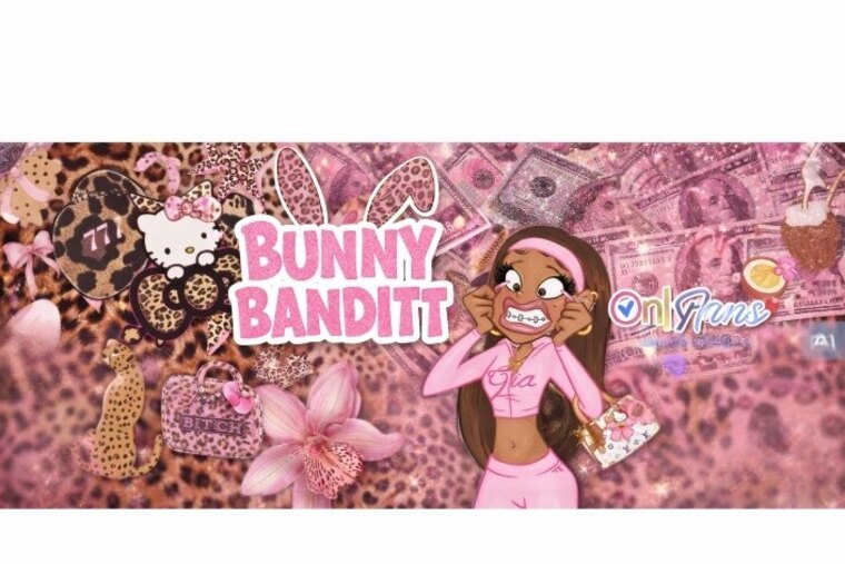 bunny banditt banner image