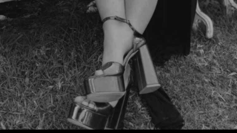 u243277503 cover image