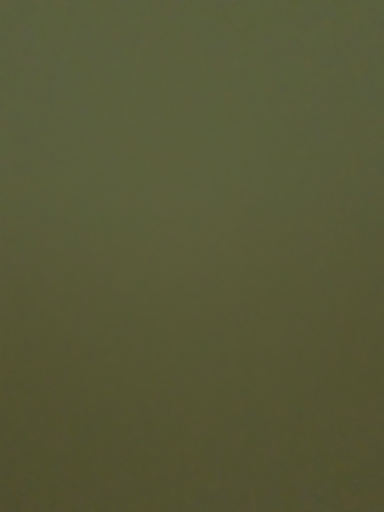 Camilla cover image
