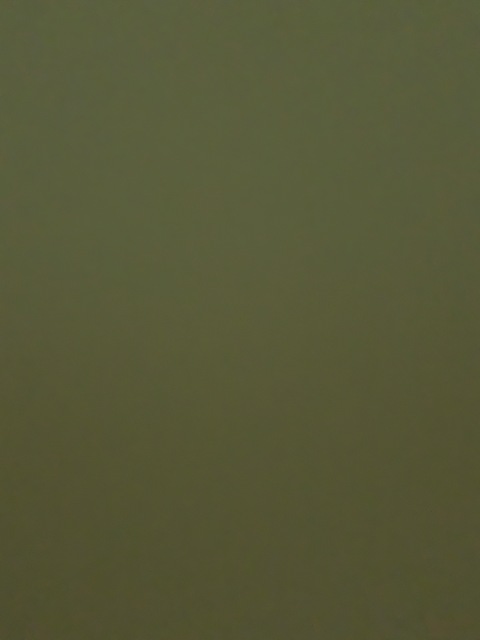 Camilla cover image