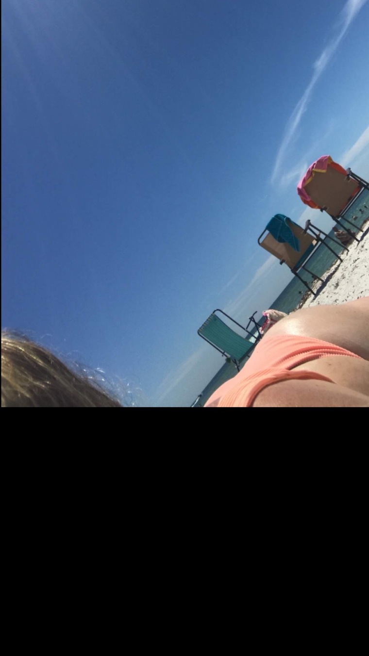 Taylor banner image