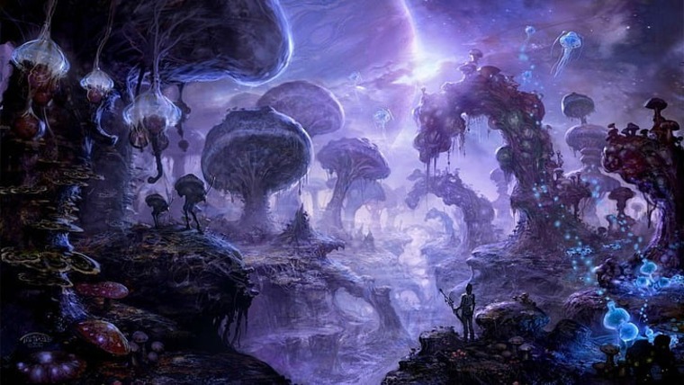 Zet cover image
