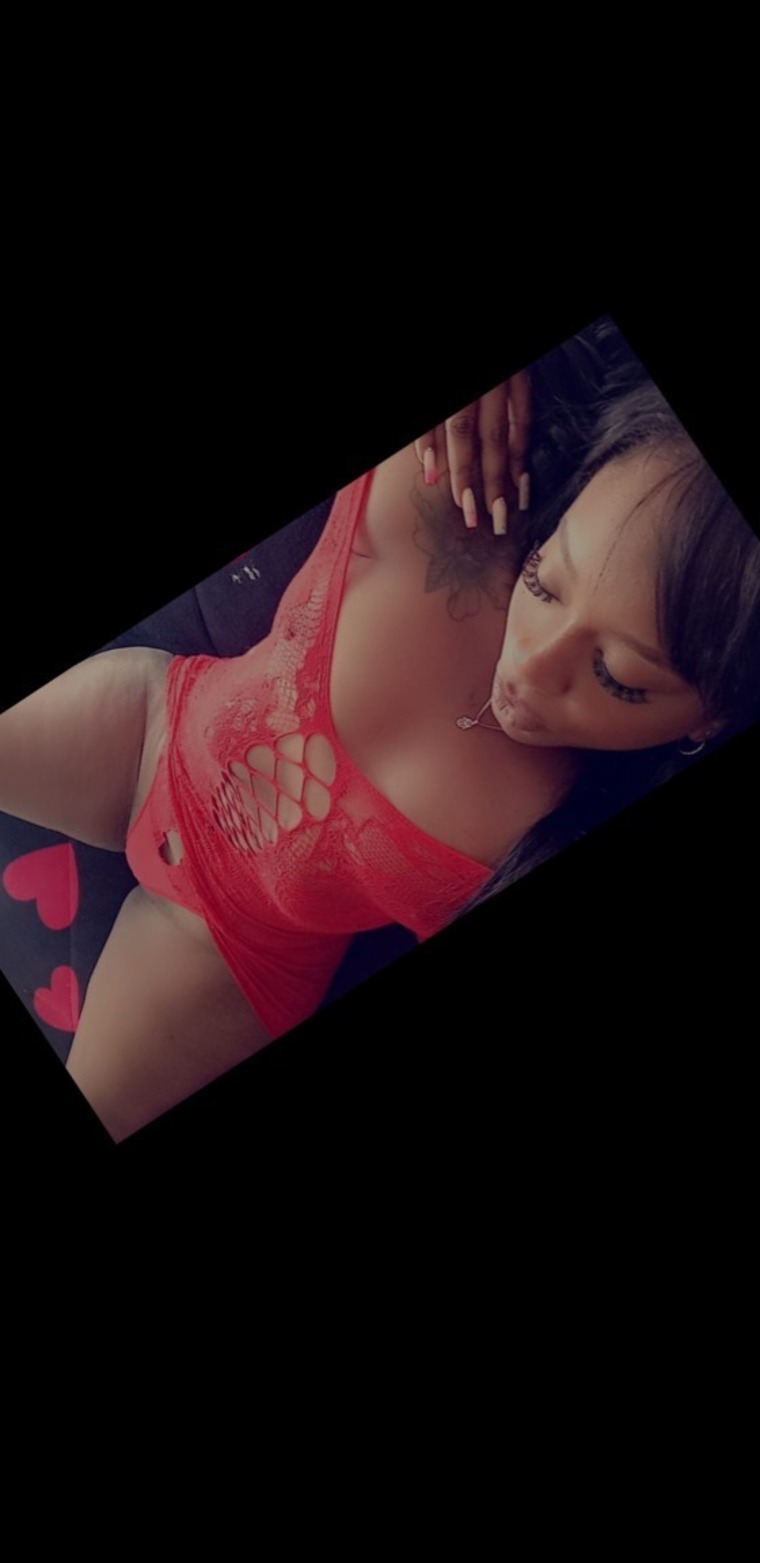 Piel canela cover image