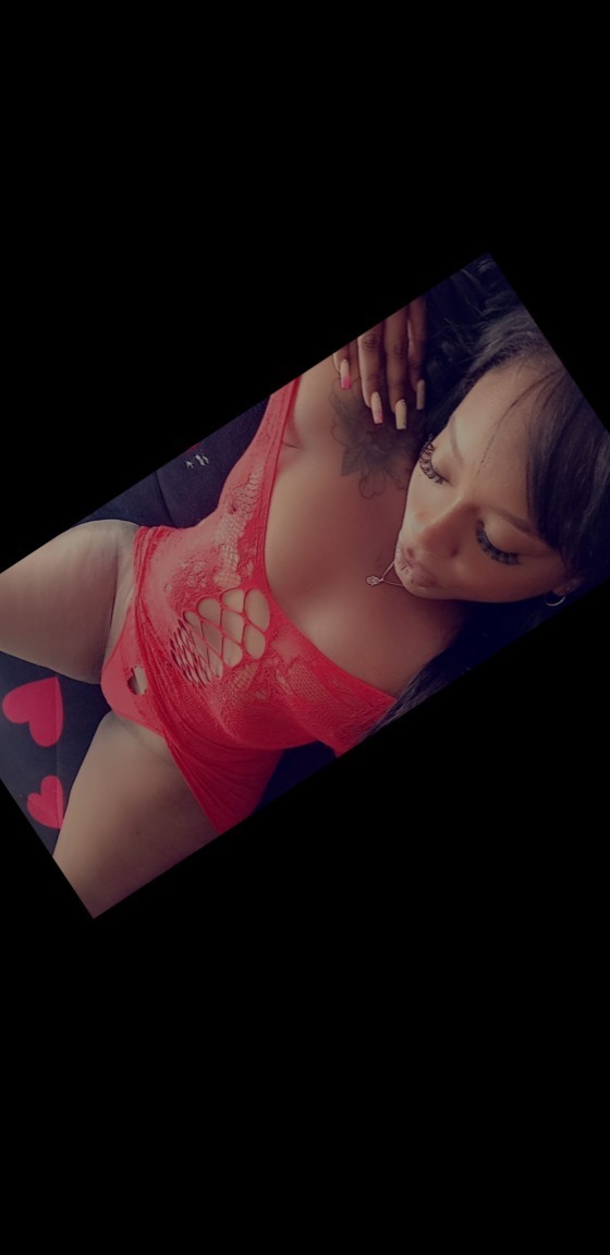 Piel canela banner image