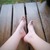 Eve Varera avatar
