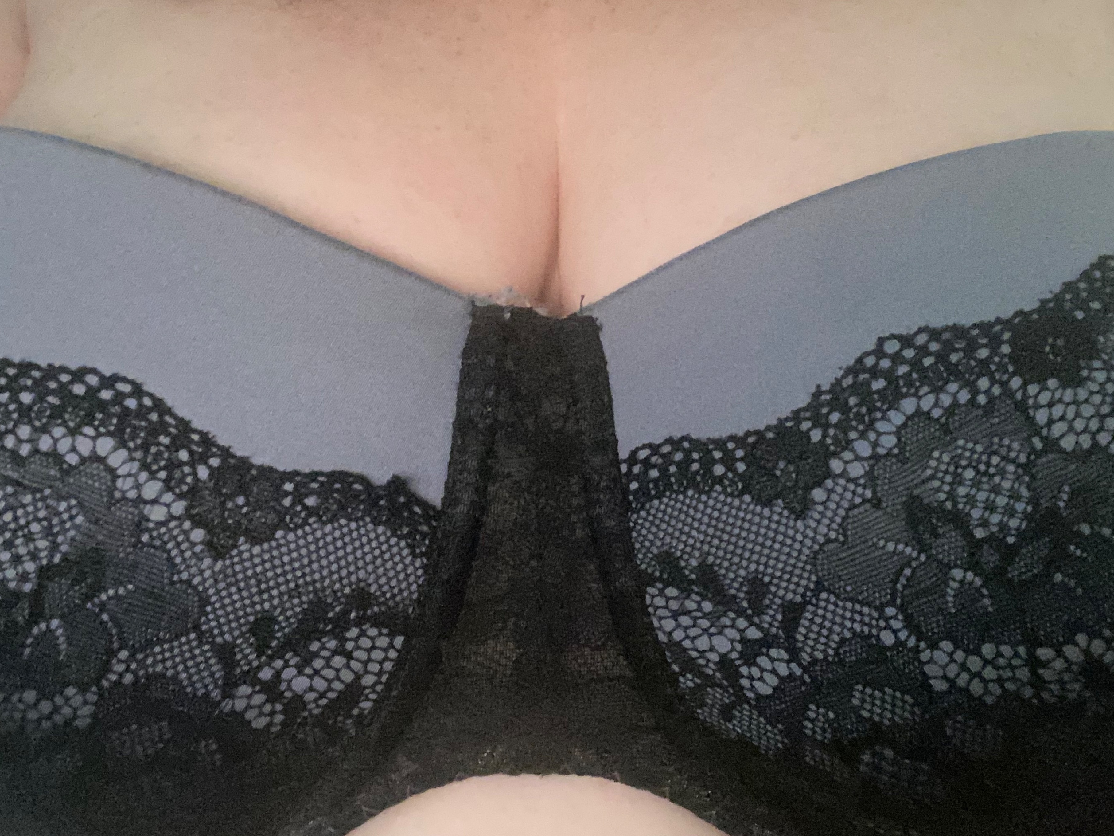 Busty Kate banner image