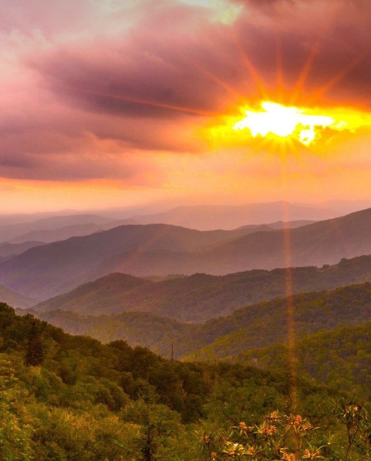 Littledom banner image
