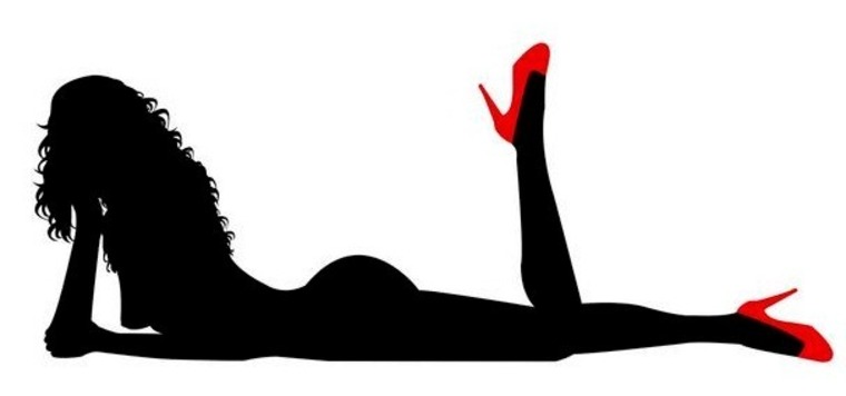 Lissette Fuenzalida cover image