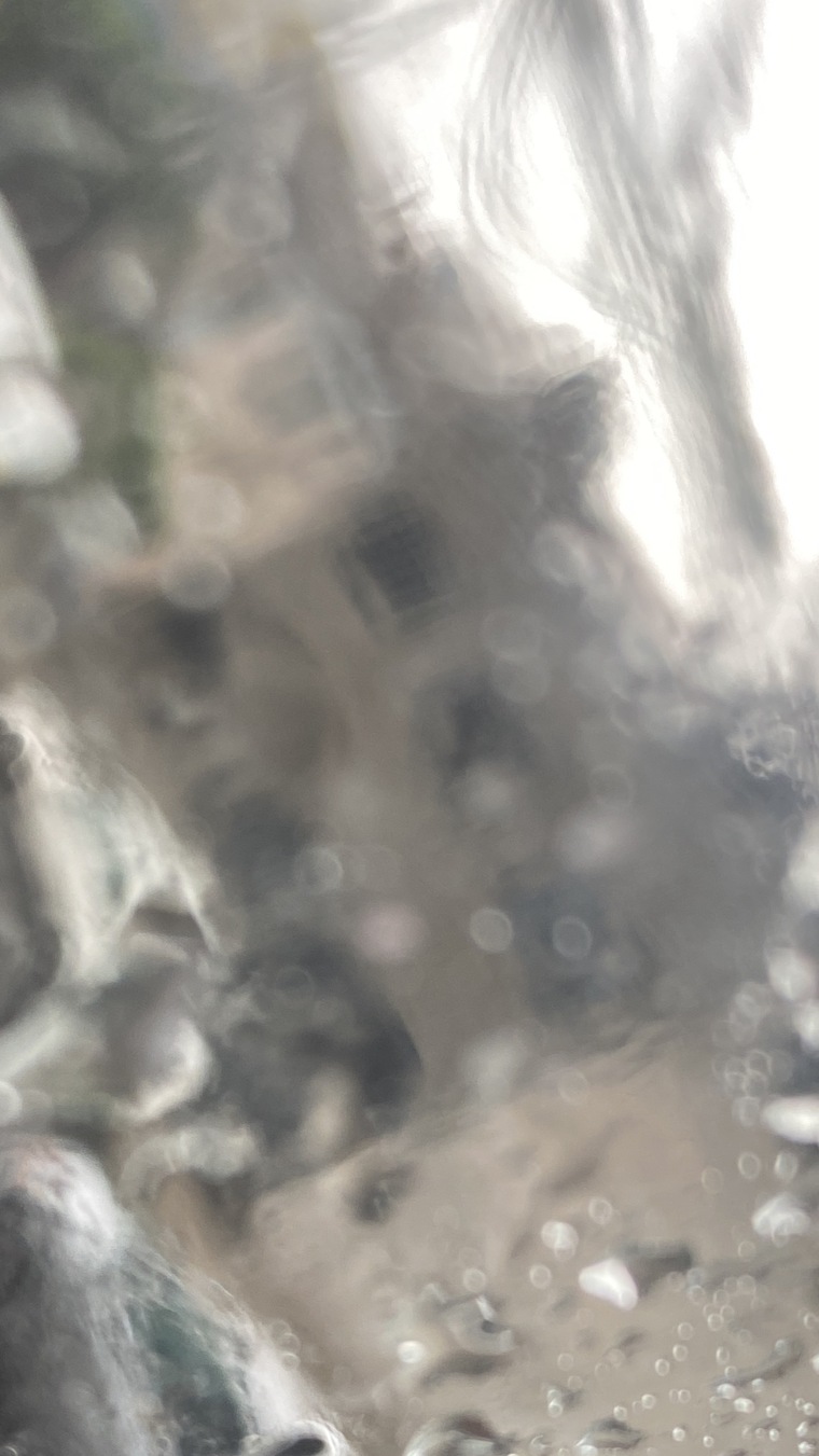 Alexandra Pérez banner image