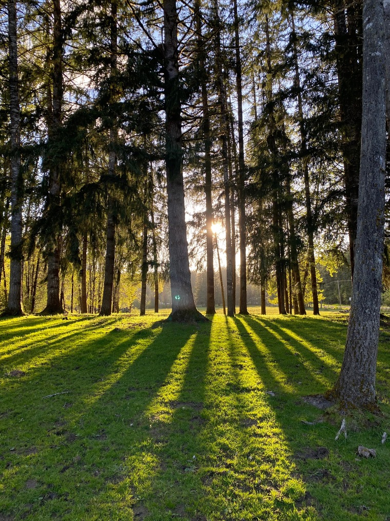 Nature Gal banner image