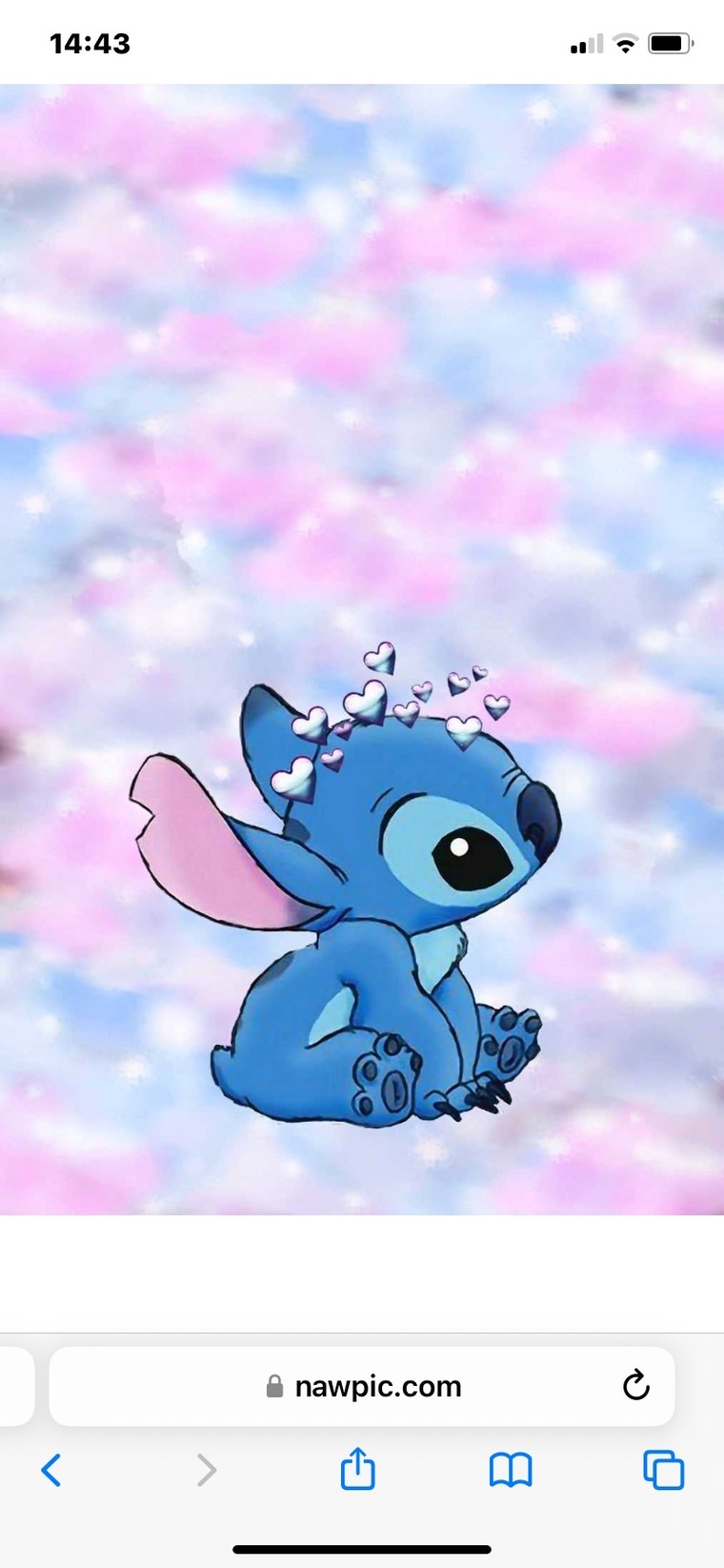 Kelly baker banner image