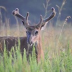 JK Johnson's Photography avatar