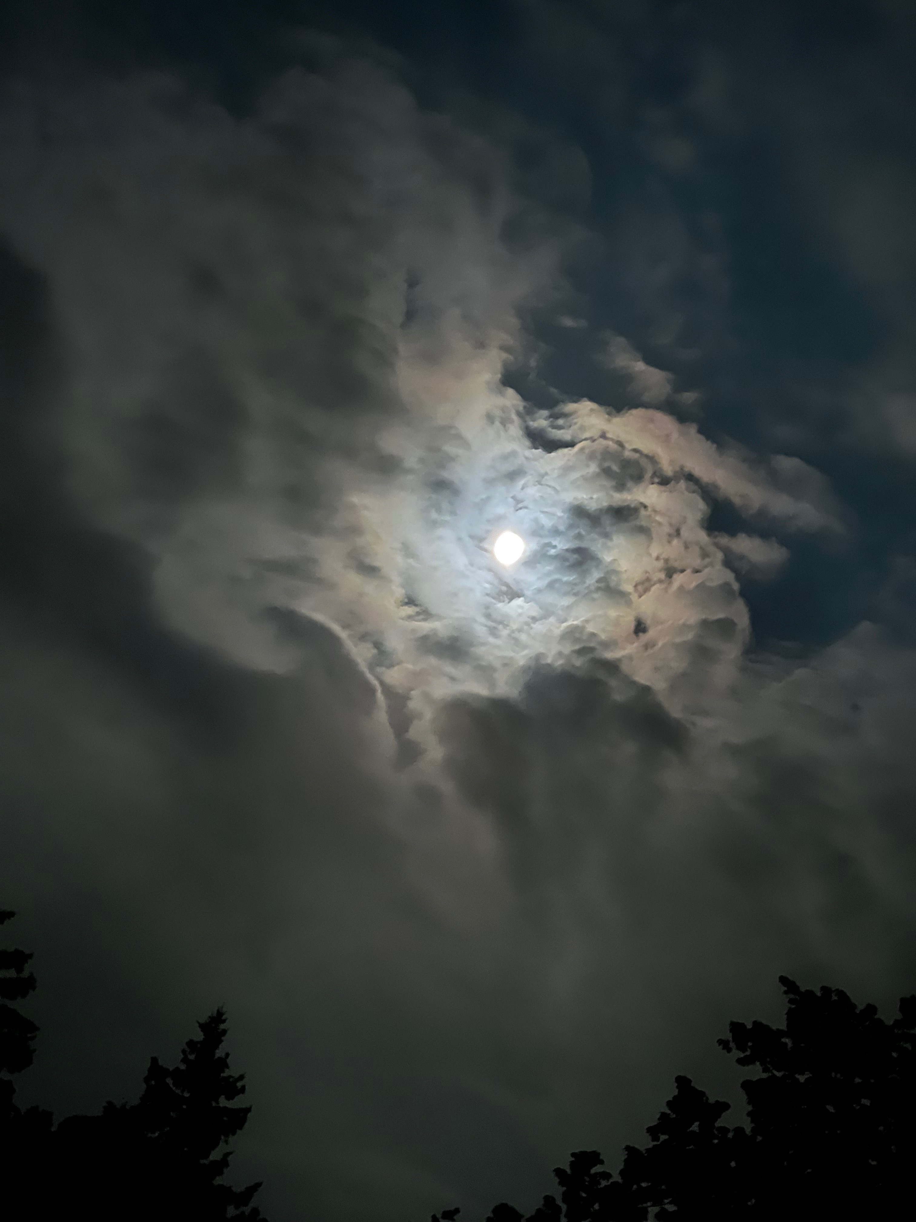 MoonGoddess banner image
